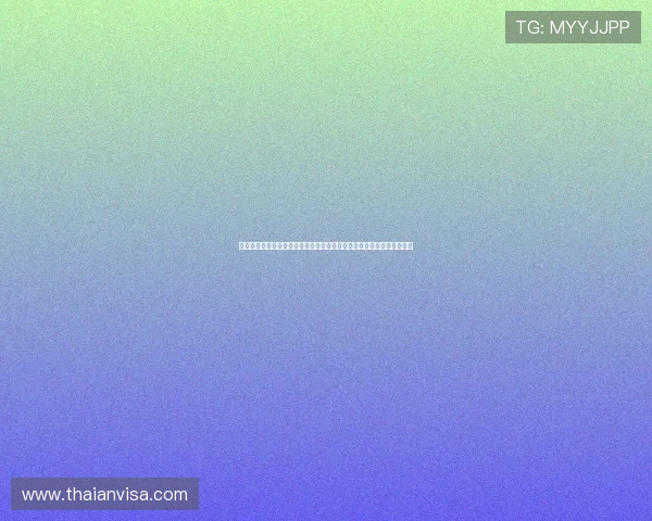 巴西队与海地队身价差异详解：世界杯比赛中两队的经济实力与战术布局
