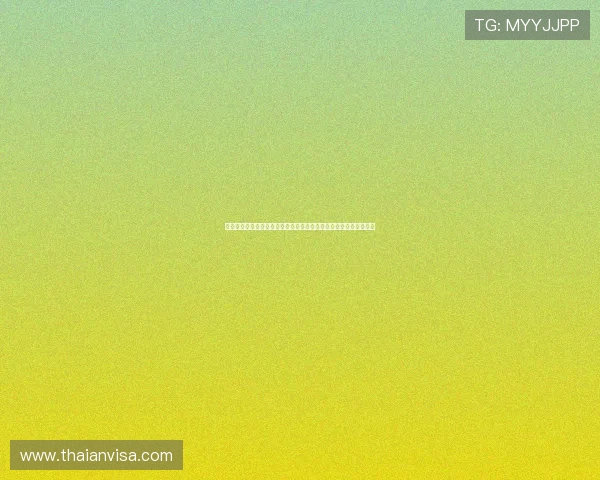 海地与巴西比赛晋级规则全攻略：了解世界杯晋级资格与比赛关键点